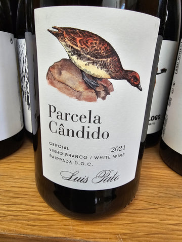 Luis Pato Vinha Formal Parcela Cândido Bairrada Branco 2021