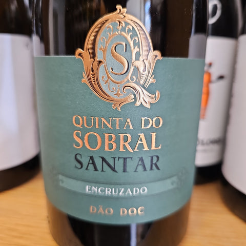 Quinta do Sobral Encruzado Dão Branco 2022