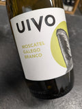 Uivo Moscatel Galego Branco 2023