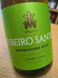 Ribeiro Santo Encruzado Dão Branco 2025