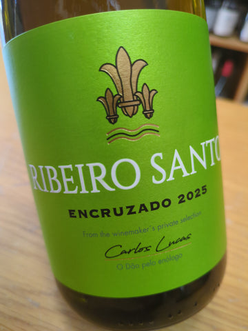 Ribeiro Santo Encruzado Dão Branco 2025