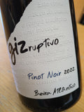Giz Ruptivo Pinot Noir Beira Atlântico Tinto 2022