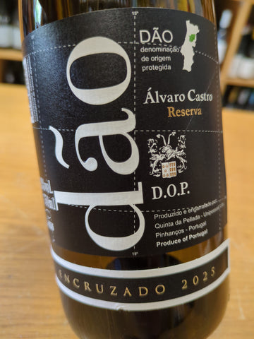 Álvaro de Castro Encruzado Reserva Dão Branco 2025