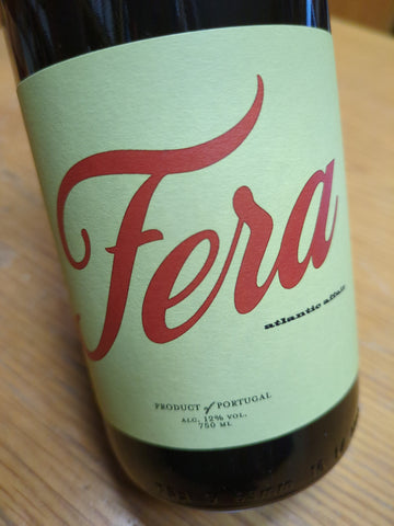 Tubarão Fera Tinto 2024