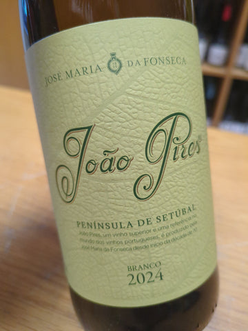 João Pires Setúbal Branco 2024